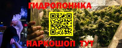 Альфа ПВП Ивантеевка