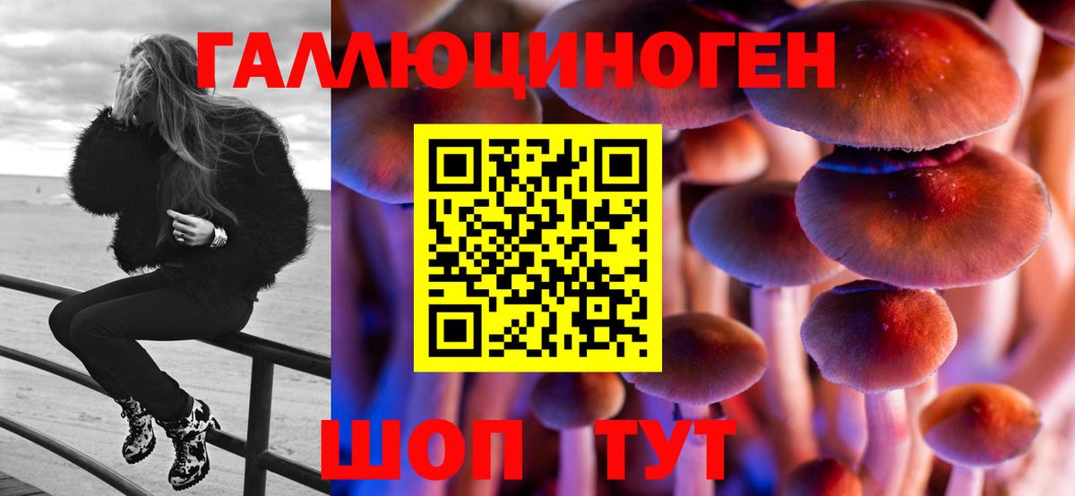 Псилоцибиновые грибы прущие грибы  Псилоцибиновые грибы Psilocybe  Богородицк  Вход с VPN 